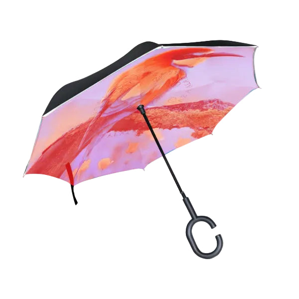 Reverse Umbrella: The Ultimate Solution for a Dry Car Interior