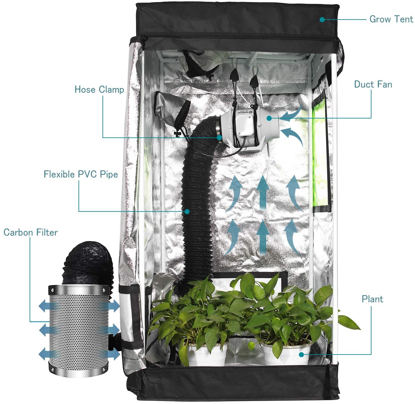 Grow Tent: The Ultimate Tool for Home Gardening